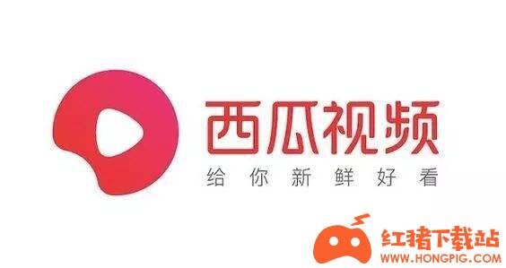 西瓜视频app下载