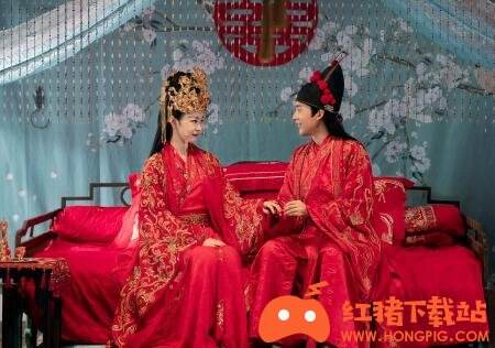 赘婿电视剧免费破解版下载
