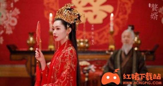 赘婿电视剧全集36集免费资源