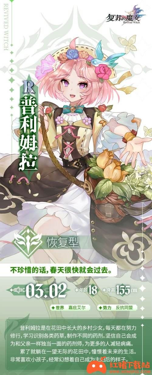 《复苏的魔女》普利姆拉角色一览