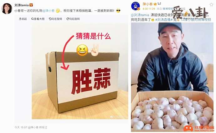 陈小春收到一箱蒜怎么回事 刘涛为陈小春打call方式绝了