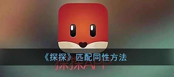 探探匹配同性方法