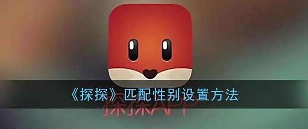 探探匹配性别设置方法