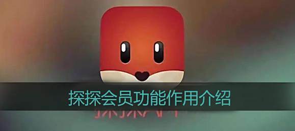探探会员功能作用介绍