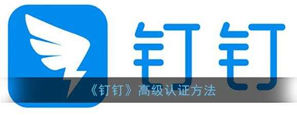 钉钉日志查看方法