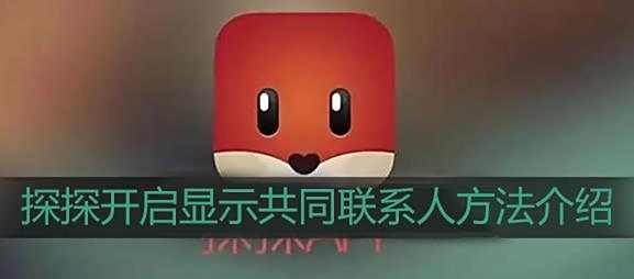 探探开启显示共同联系人方法介绍