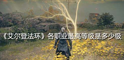 《艾尔登法环》各职业最高等级是多少级
