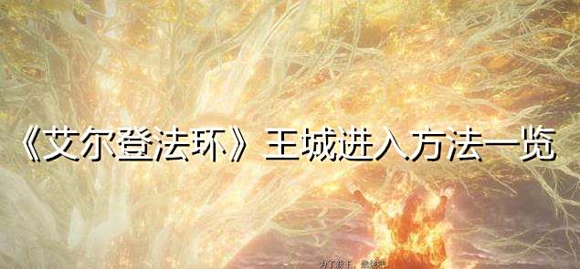 《艾尔登法环》王城进入方法一览