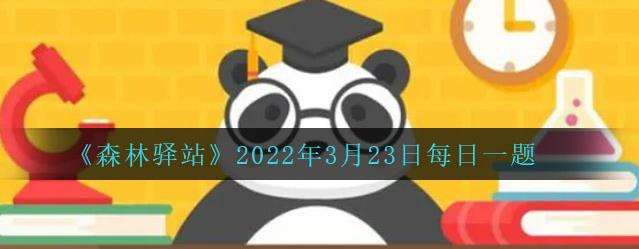 《森林驿站》3月23日最新答案一览2022