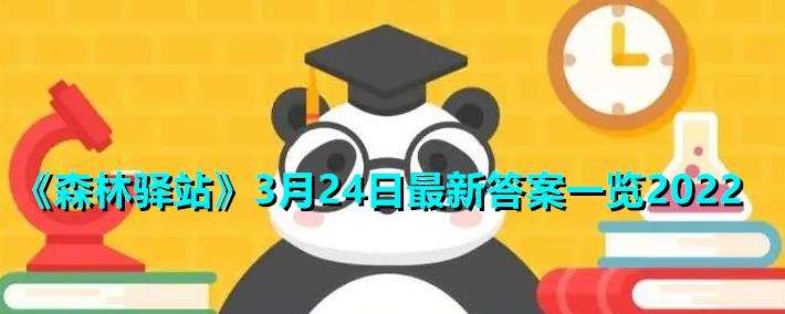 《森林驿站》3月24日最新答案一览2022