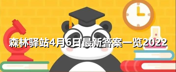 森林驿站4月6日最新答案一览2022