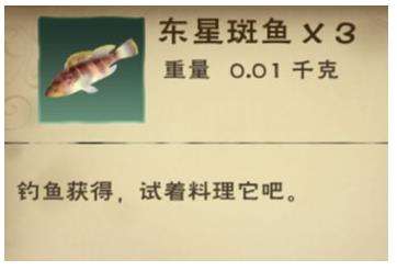 《创造与魔法》东星斑鱼作用及获得方法