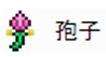 《泰拉瑞亚》1.4全流程通关图文攻略之世纪之花打法思路