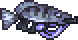 射水鱼.png