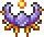 天界壳.png