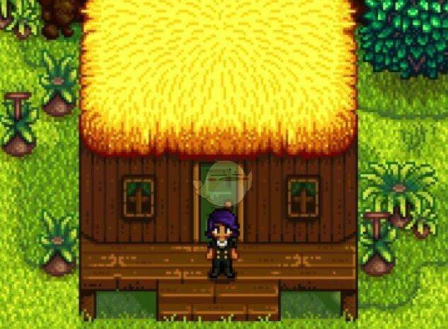 《星露谷物语》姜岛小屋美化MOD下载链接分享