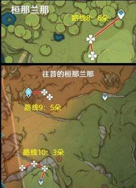 《原神》3.0须弥蔷薇最高效采集路线一览