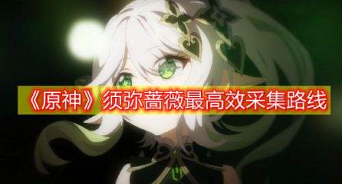 《原神》3.0须弥蔷薇最高效采集路线一览