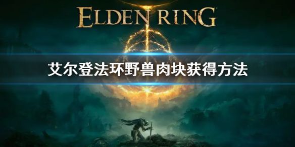 艾尔登法环野兽肉块获得方法1