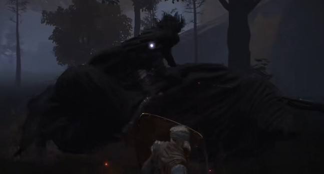 艾尔登法环BOSS黑夜骑兵攻略2