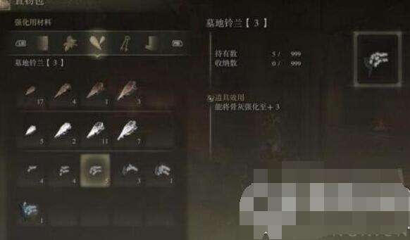 艾尔登法环双贤魔法师骨灰获取位置4