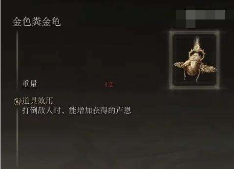 艾尔登法环金色粪金龟护符获取位置3