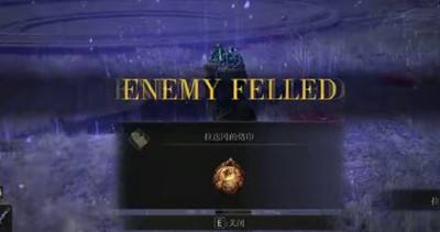 艾尔登法环拉达冈的烙印护符获得方法5