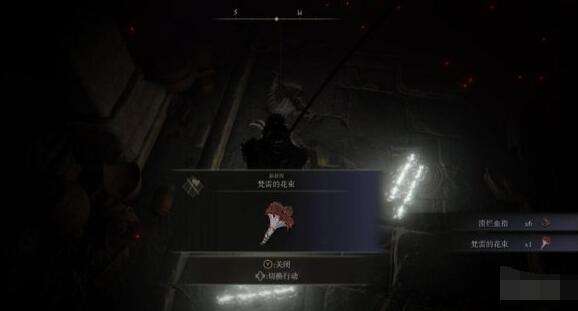 艾尔登法环白面具支线攻略11