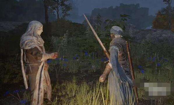 艾尔登法环鲜血君王支线攻略2