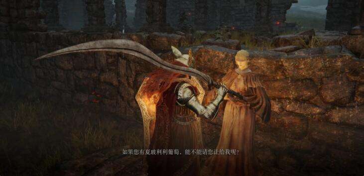 艾尔登法环指头女巫海妲支线任务攻略10