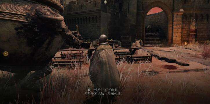 艾尔登法环战士壶亚历山大支线任务攻略7