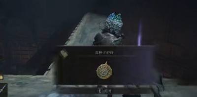 艾尔登法环蓝种子护符获得方法4