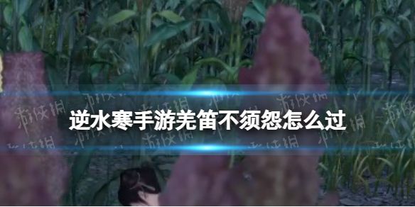 《逆水寒手游》羌笛不须怨怎么过羌笛不须怨奇遇攻略1