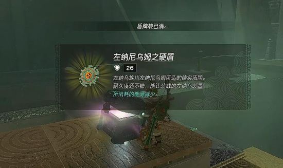 塞尔达传说王国之泪雷恩伊杰神庙通关攻略7