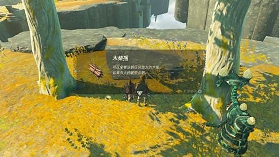塞尔达传说王国之泪第二章通关攻略6