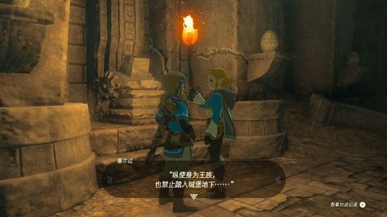 塞尔达传说王国之泪序章攻略一览8