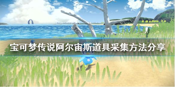 宝可梦传说阿尔宙斯道具采集方法分享1