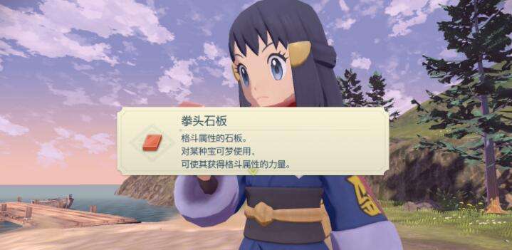 宝可梦传说阿尔宙斯二周目起始海滩的石板8