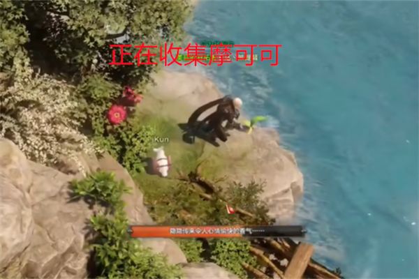 《命运方舟》鲸鱼岛摩可可在哪？鲸鱼岛摩可可获取攻略4