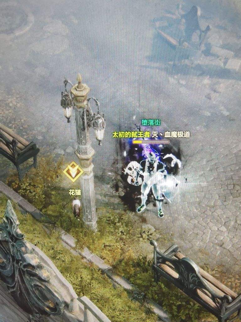《命运方舟》贝隆南隐藏任务抓住老鼠吱吱怎么做？抓住老鼠吱吱任务攻略4