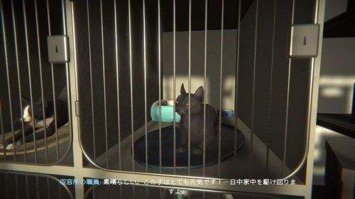 猫咪探险游戏《冒牌猫谜》Steam试玩发布