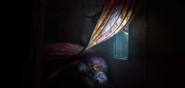 Steam恐怖佳作《StillWakestheDeep》上架8