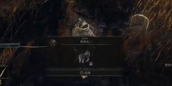 《艾尔登法环》野兽爪获得方法一览6