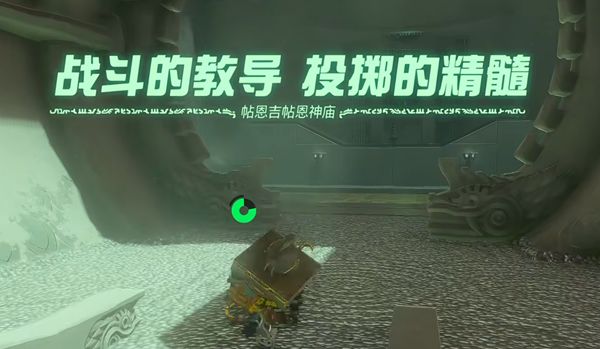 《王国之泪》帖恩吉帖神庙投掷的精髓过关攻略1