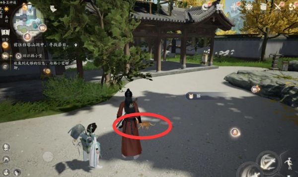 《射雕手游》小动物位置一览202410