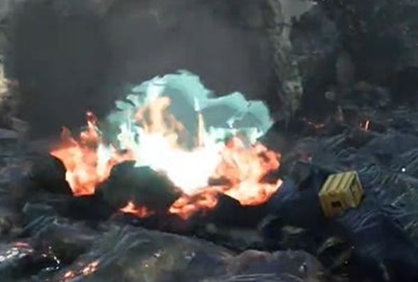 《阿凡达潘多拉边境》特别专送支线任务接取及完成攻略2