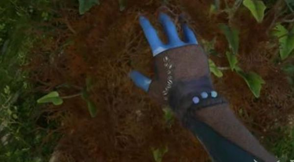 《阿凡达潘多拉边境》诚心求教支线任务接取及完成攻略14