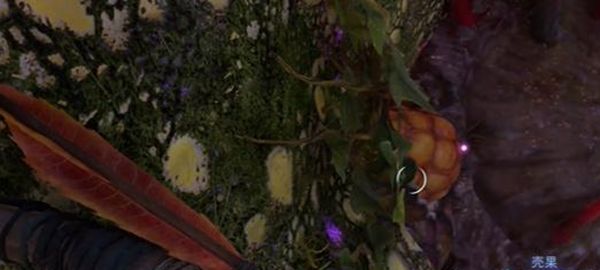 《阿凡达潘多拉边境》一餐饭一段记忆全流程完成攻略7