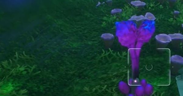 《阿凡达潘多拉边境》一餐饭一段记忆全流程完成攻略5