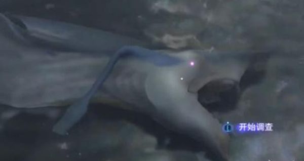 《阿凡达潘多拉边境》夺命狩猎支线任务全流程完成攻略3